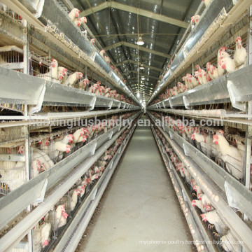 new design hot galvanized H type automatic feeding machine design layer chicken cages chicken cage